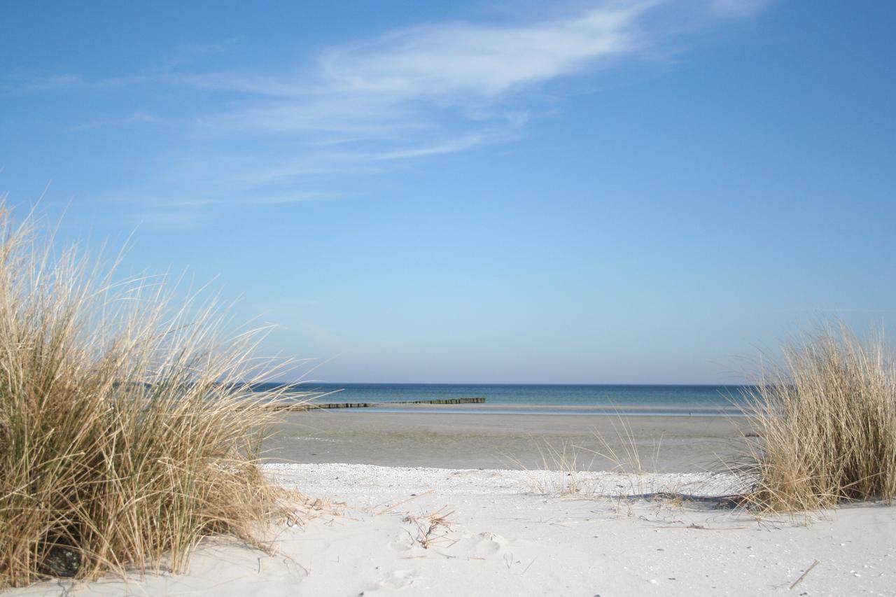 Villa Strandblick 12 Zingst Eksteriør bilde